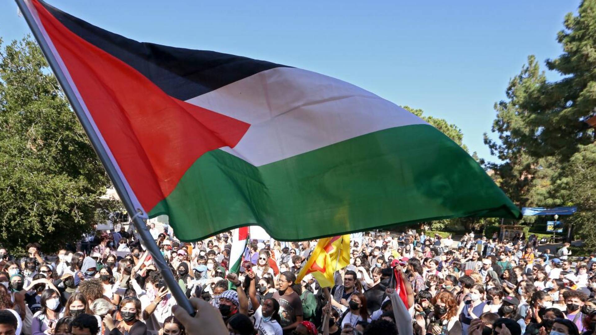 Image 1 from gallery