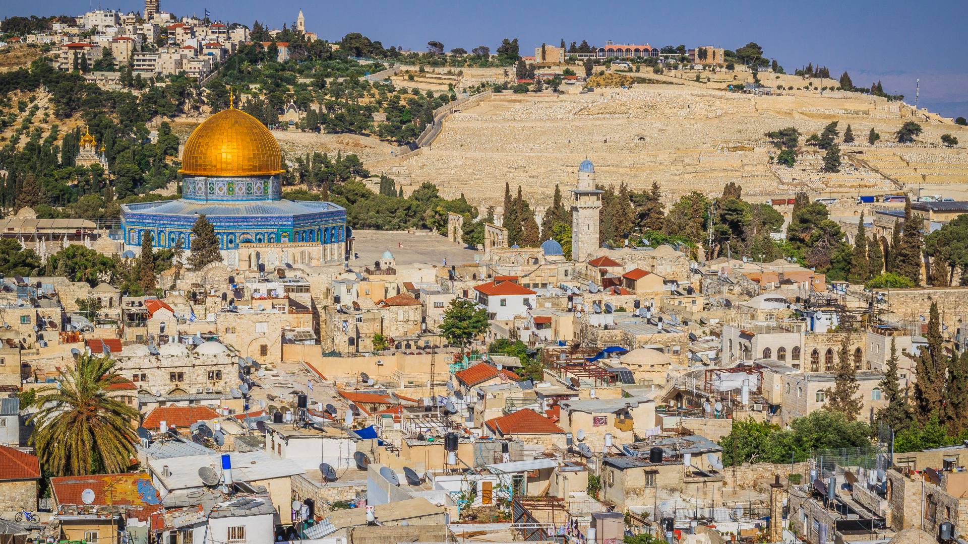 Image 1 from gallery