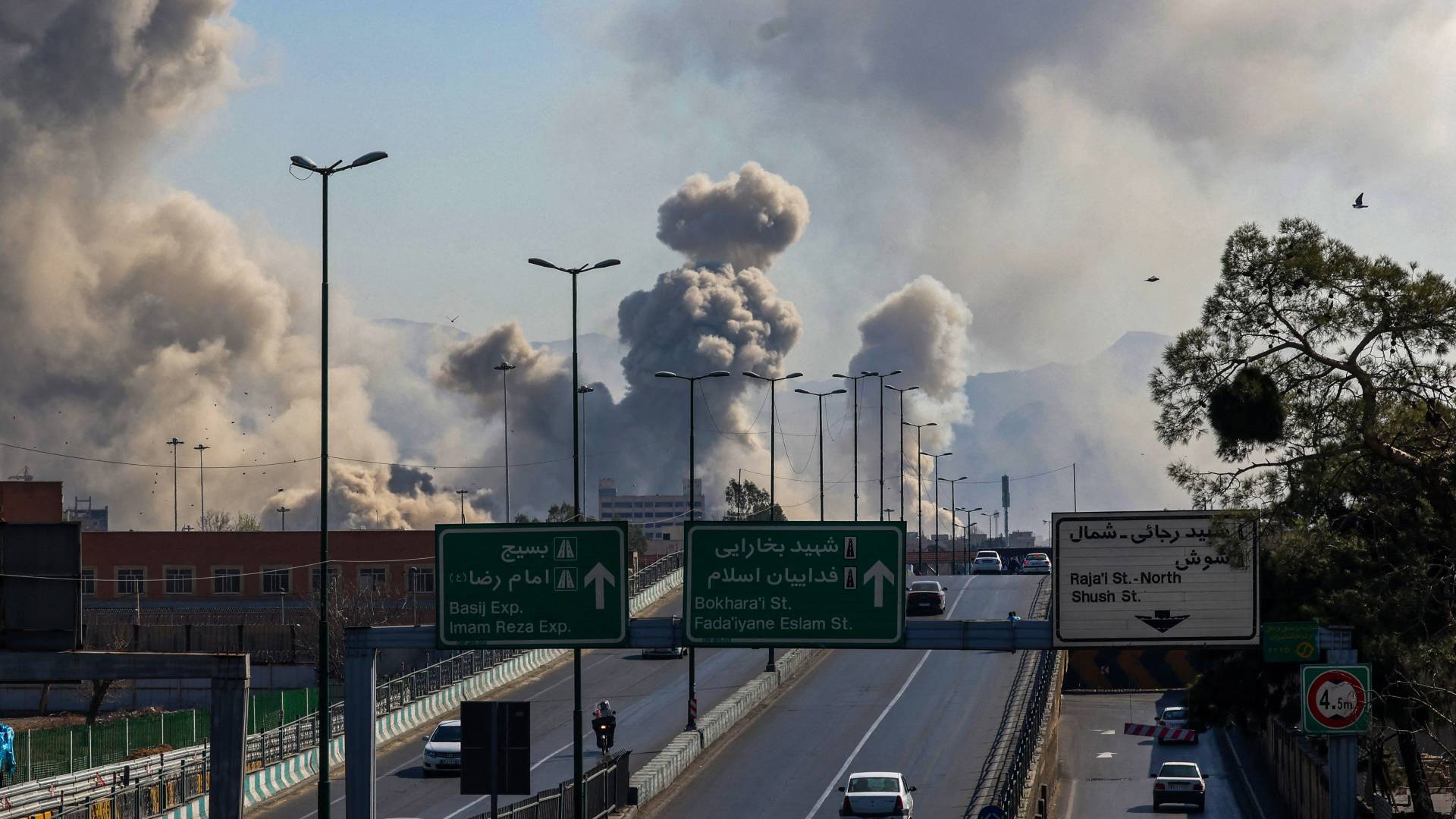 Image 1 from gallery