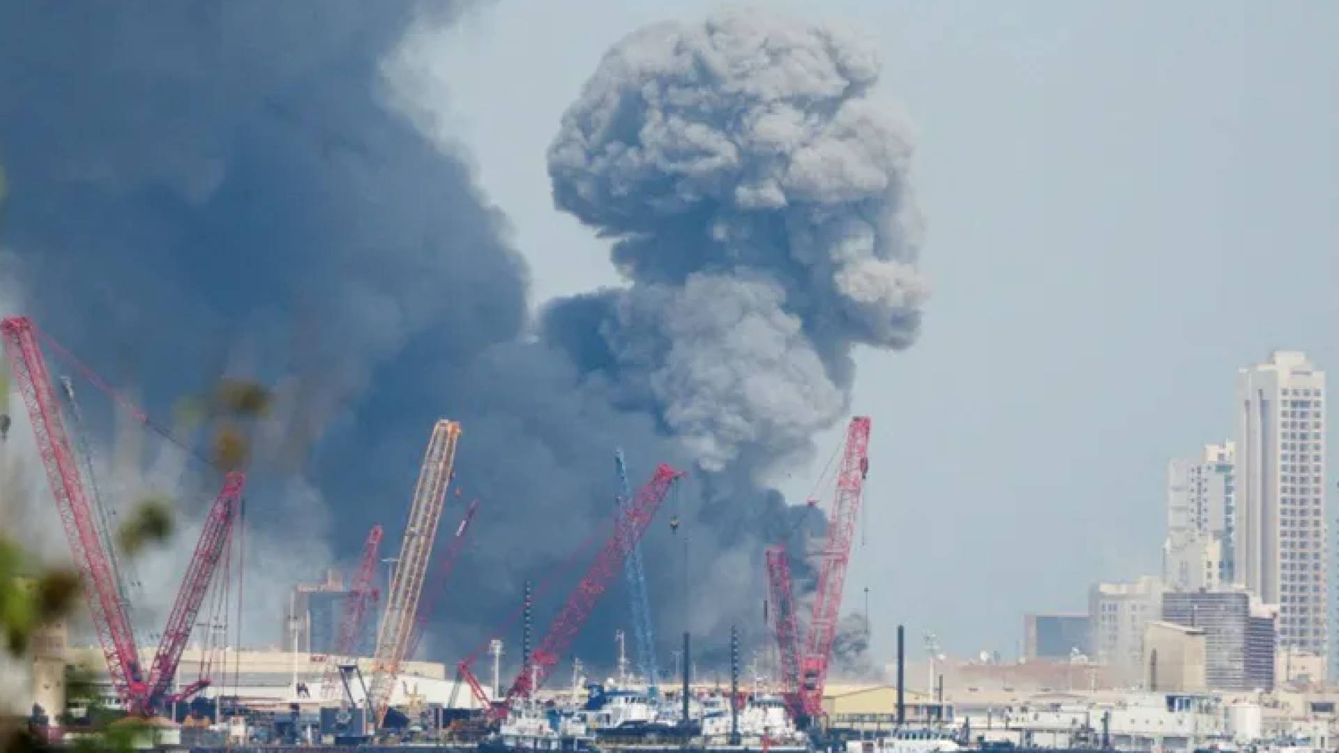 Image 1 from gallery