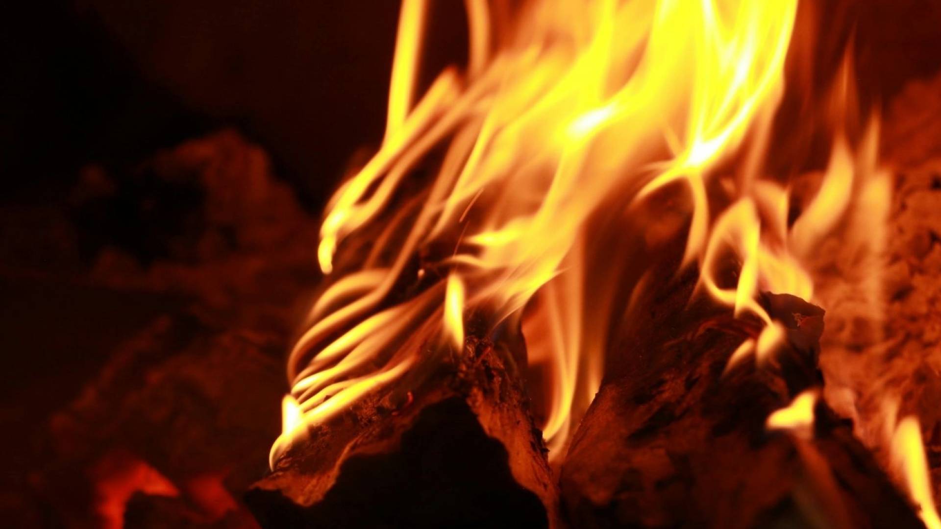 Image 1 from gallery