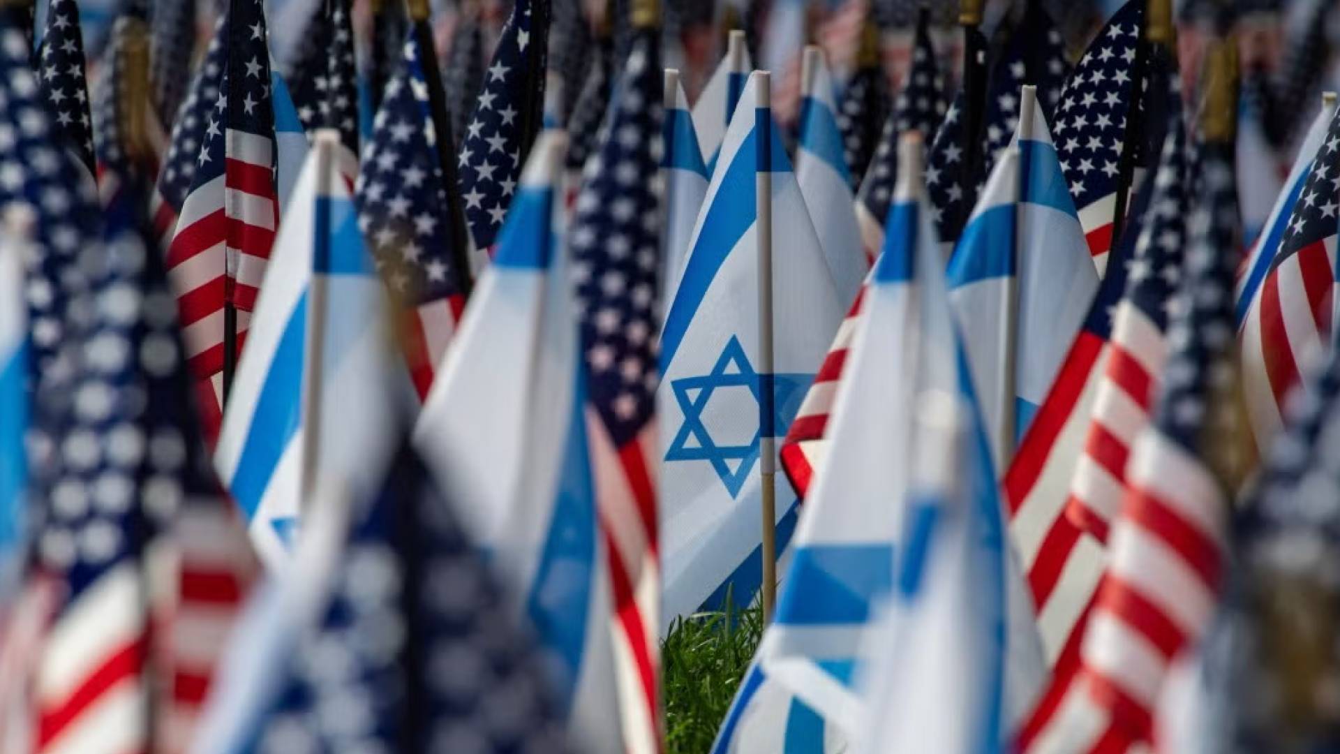 Image 1 from gallery