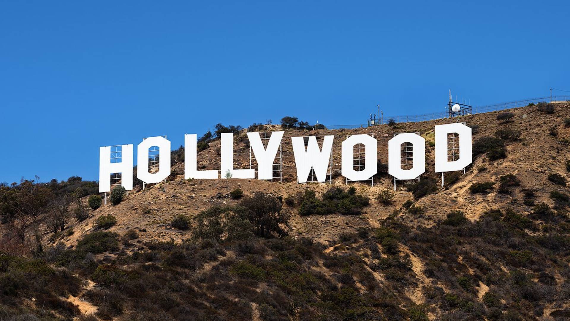 Image 1 from gallery