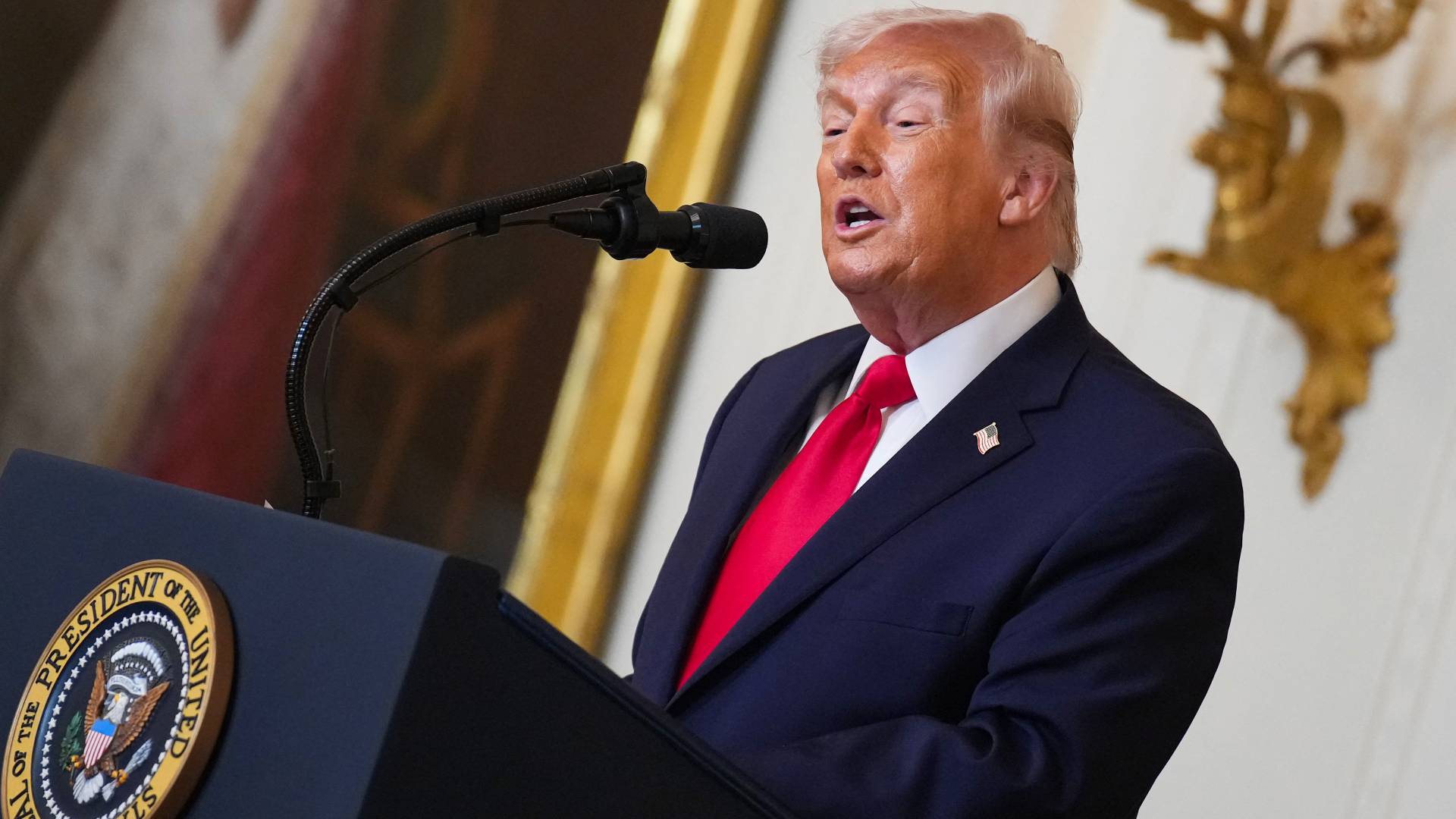 Image 1 from gallery