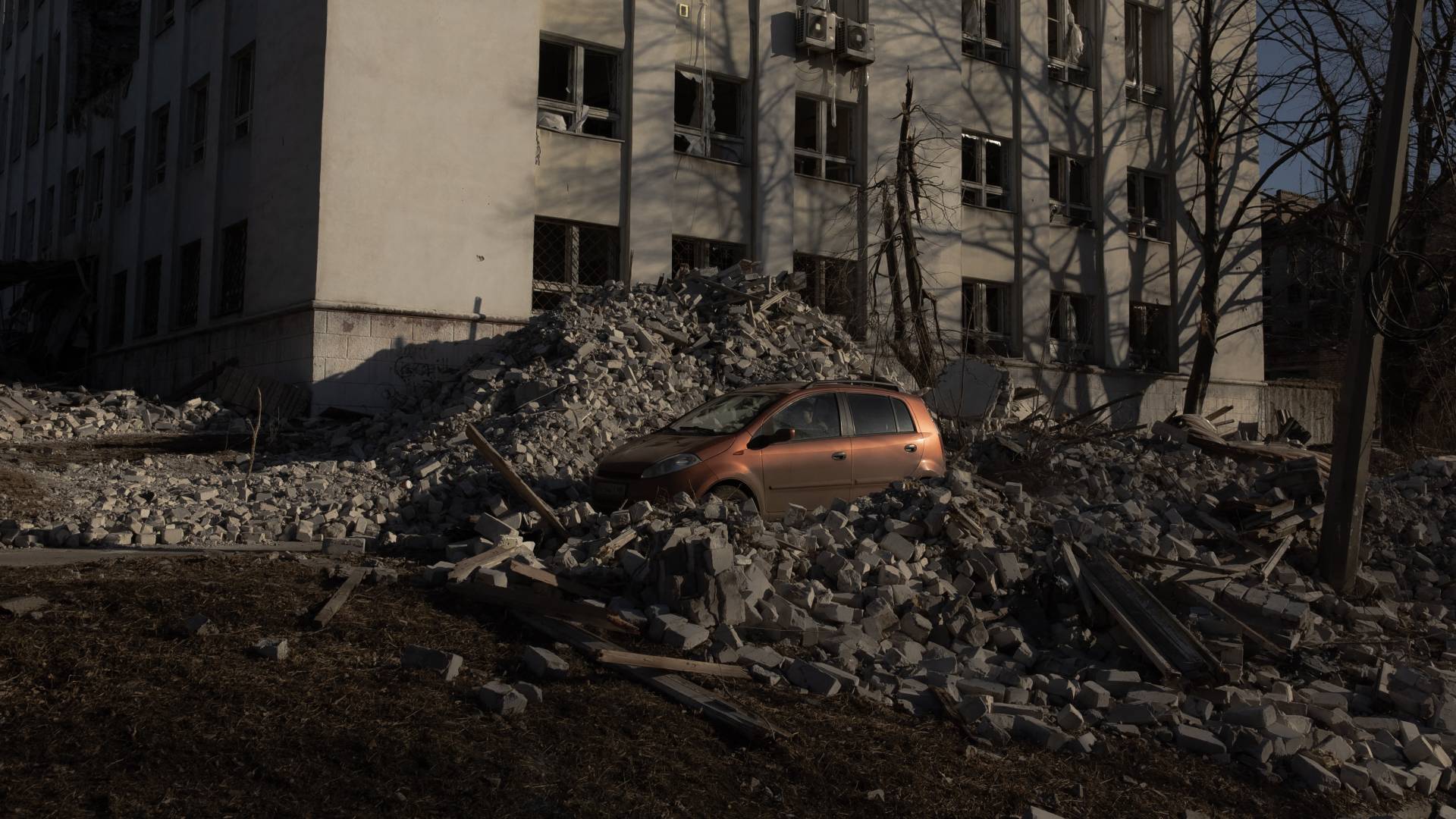 Image 1 from gallery