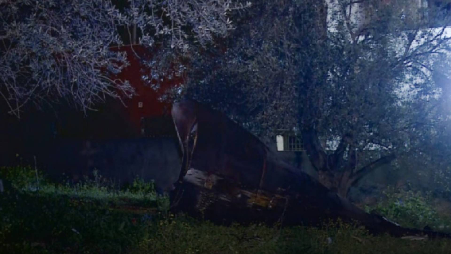 Image 1 from gallery