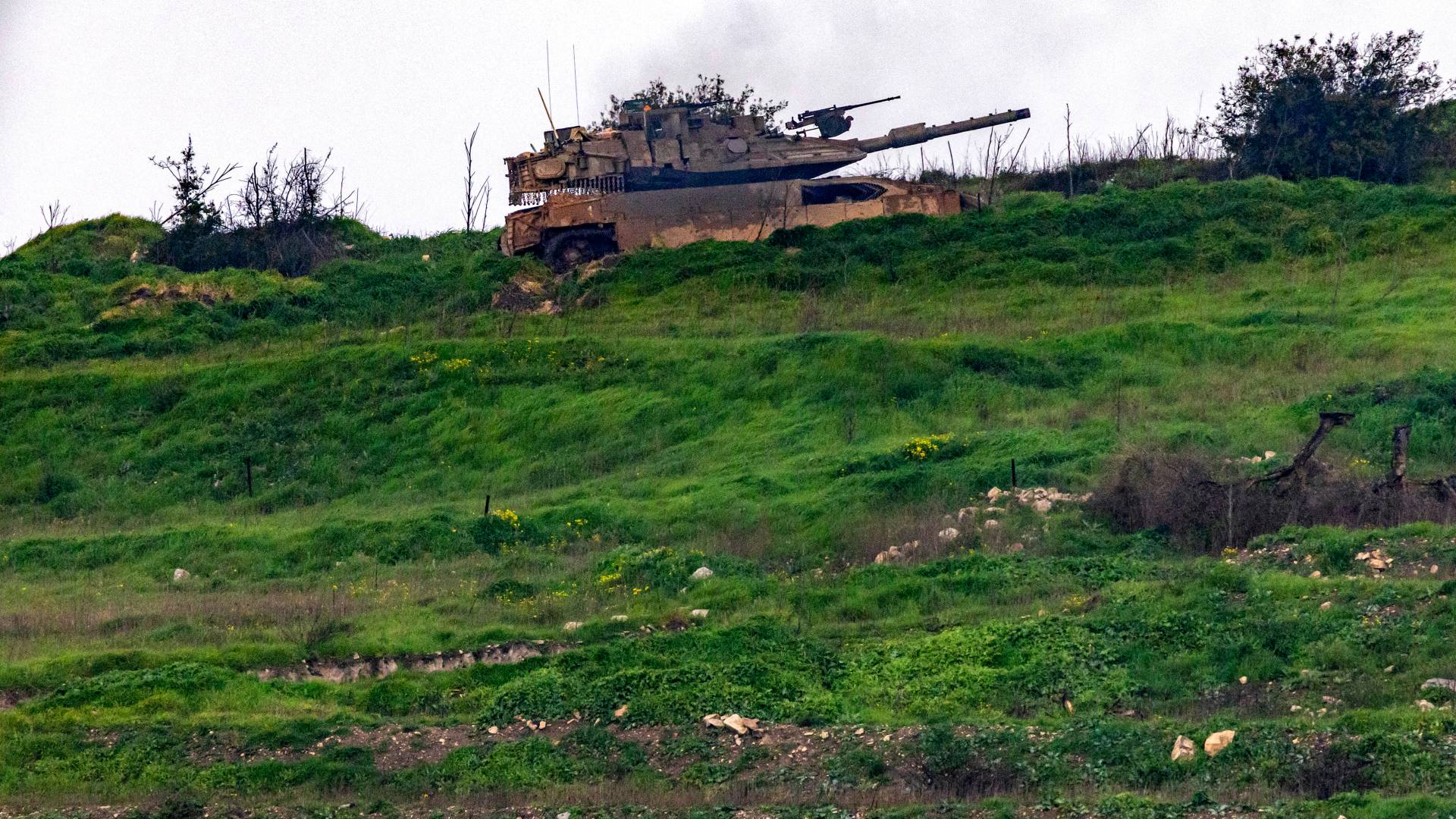 Image 1 from gallery