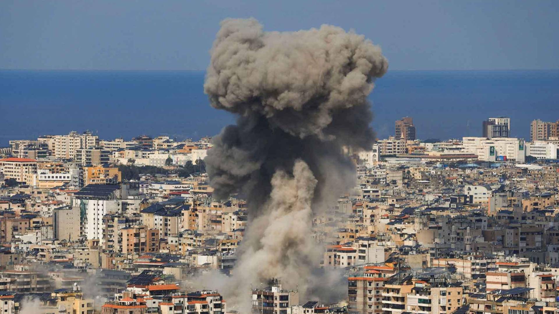 Image 1 from gallery