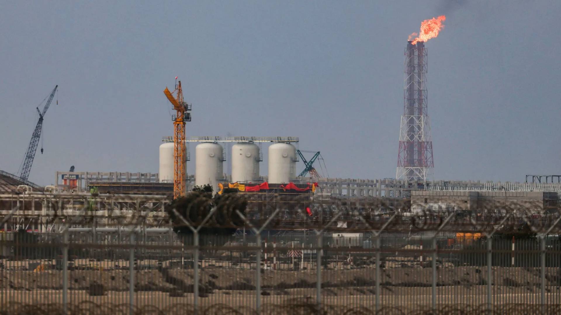 Image 1 from gallery