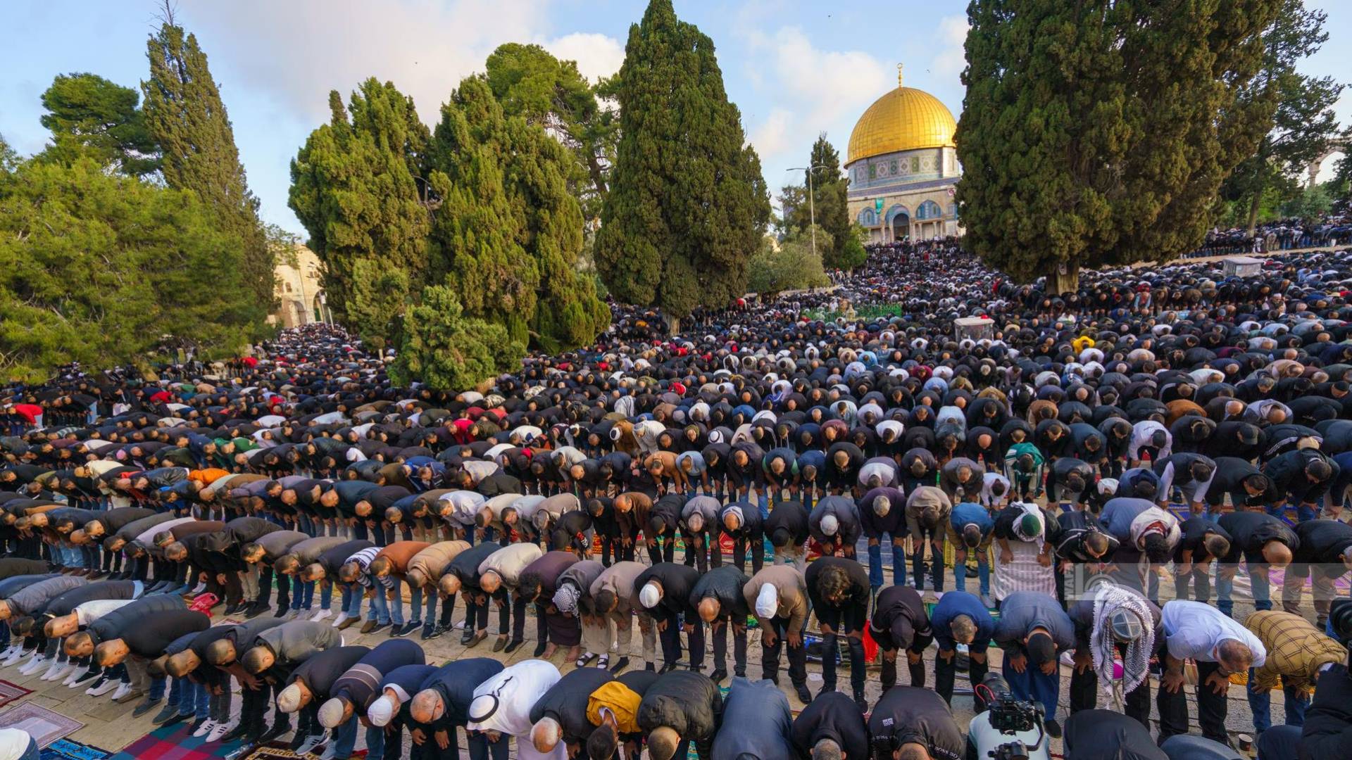 Image 1 from gallery