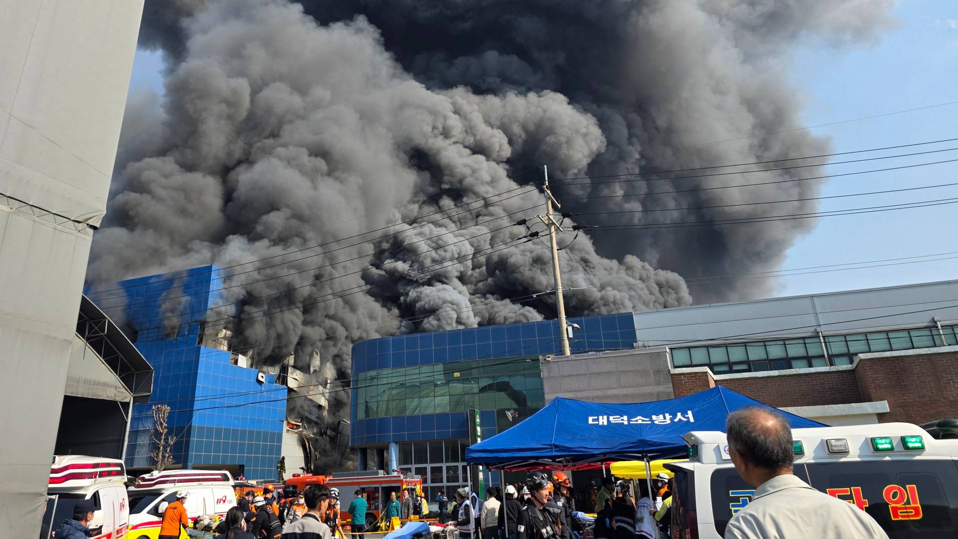 Image 1 from gallery