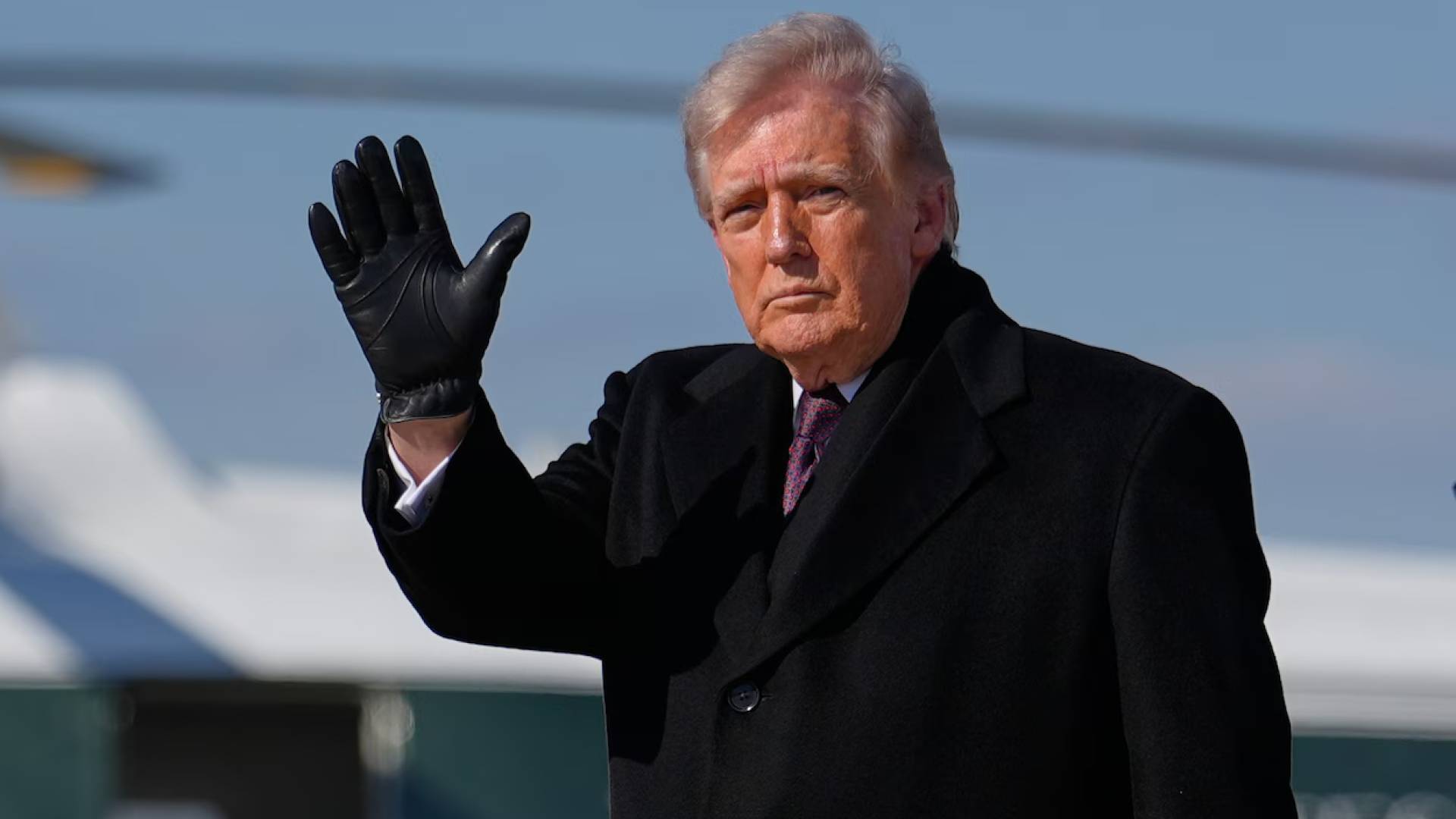 Image 1 from gallery