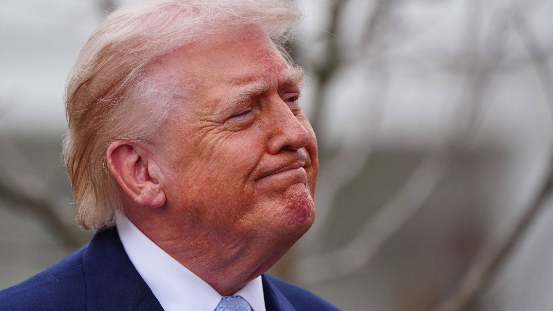 Image 1 from gallery