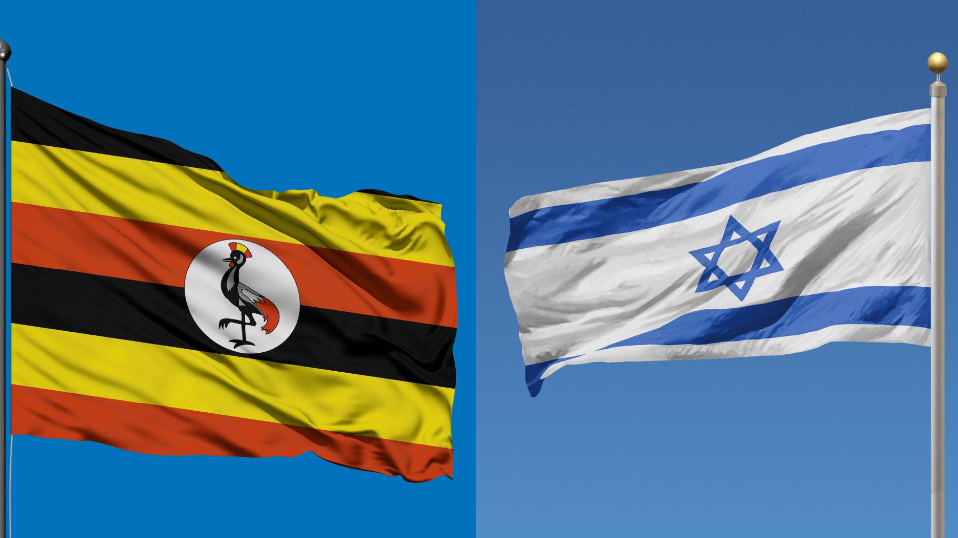 Image 1 from gallery