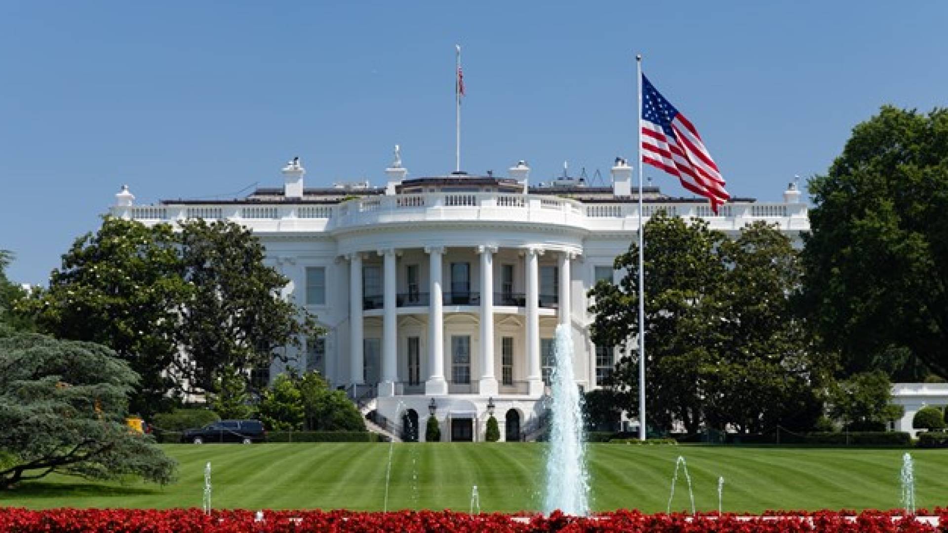 Image 1 from gallery