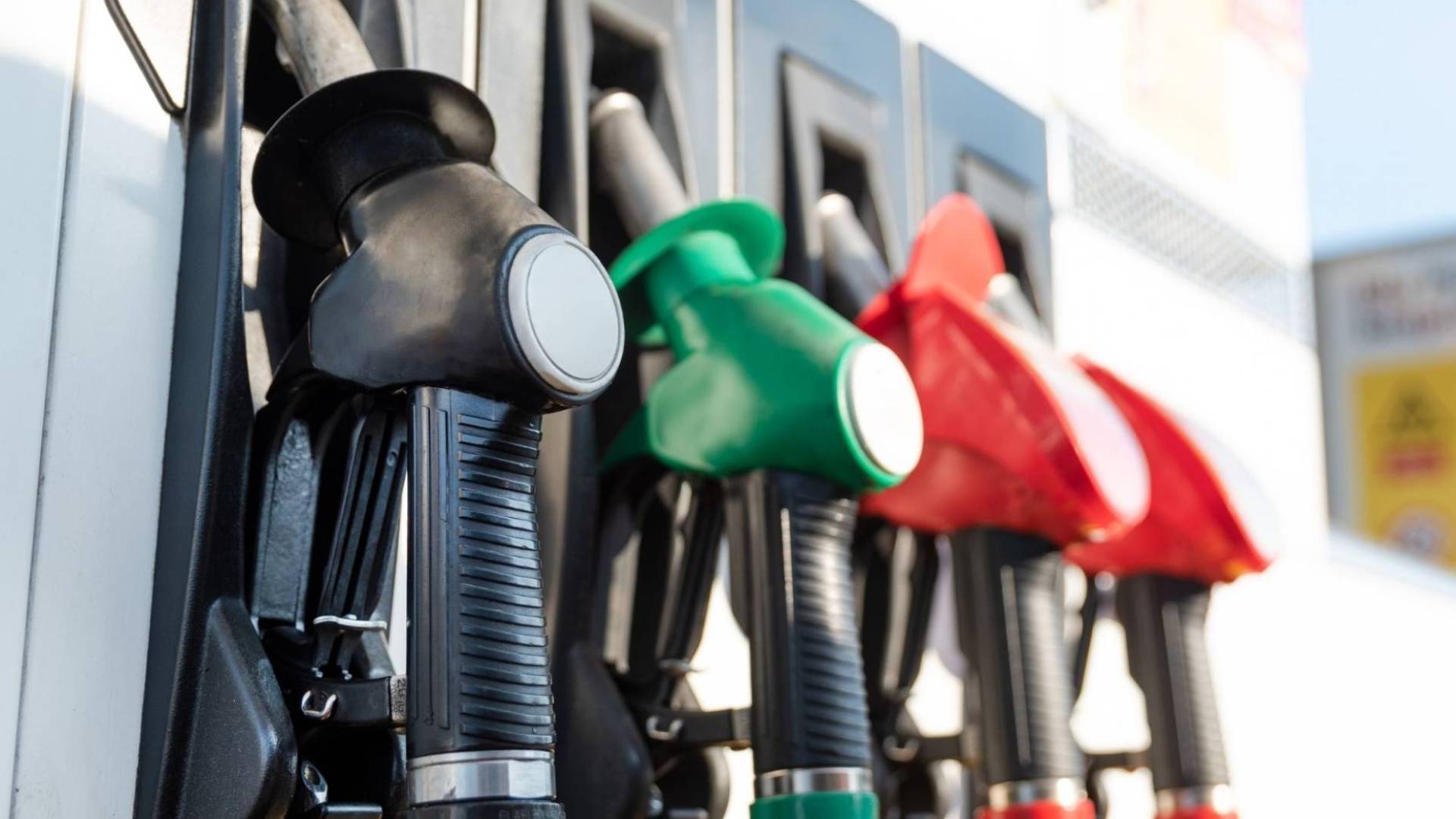 Image 1 from gallery