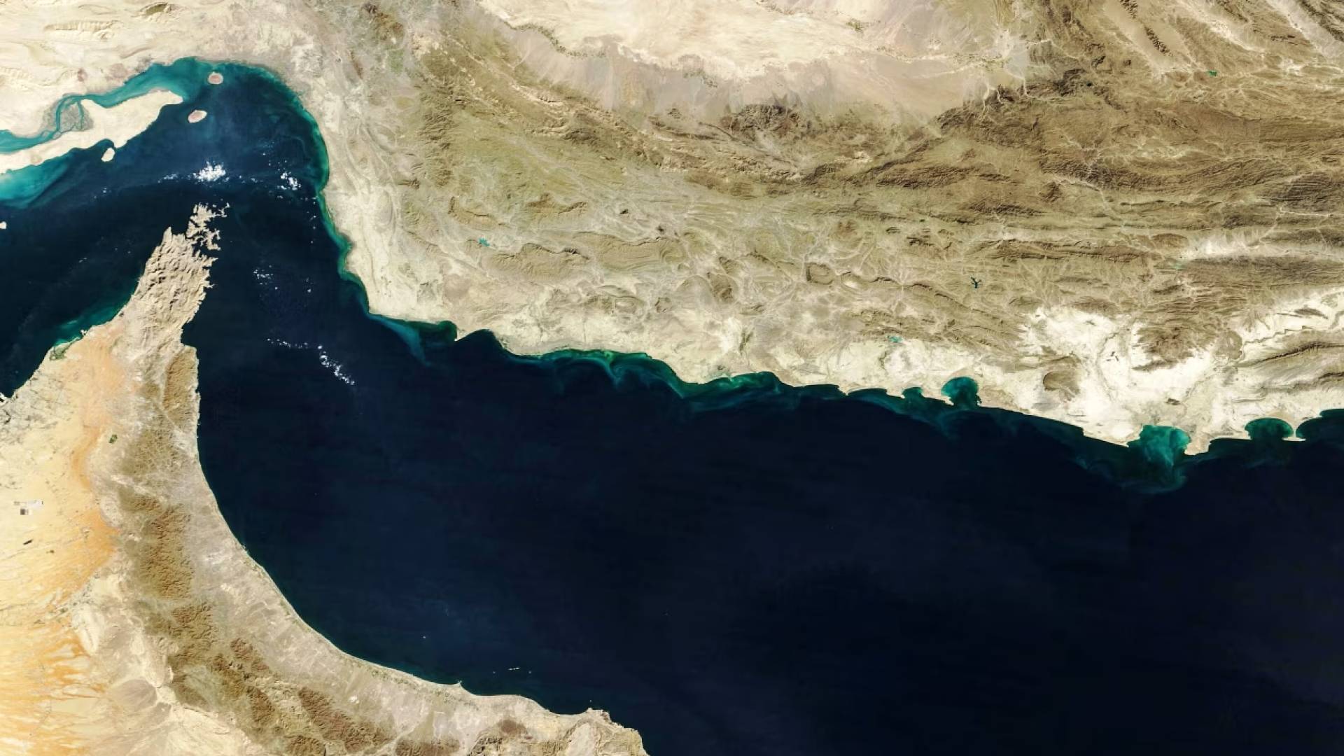 Image 1 from gallery