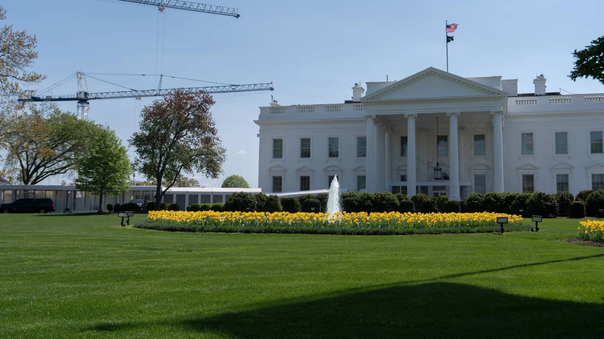 Image 1 from gallery