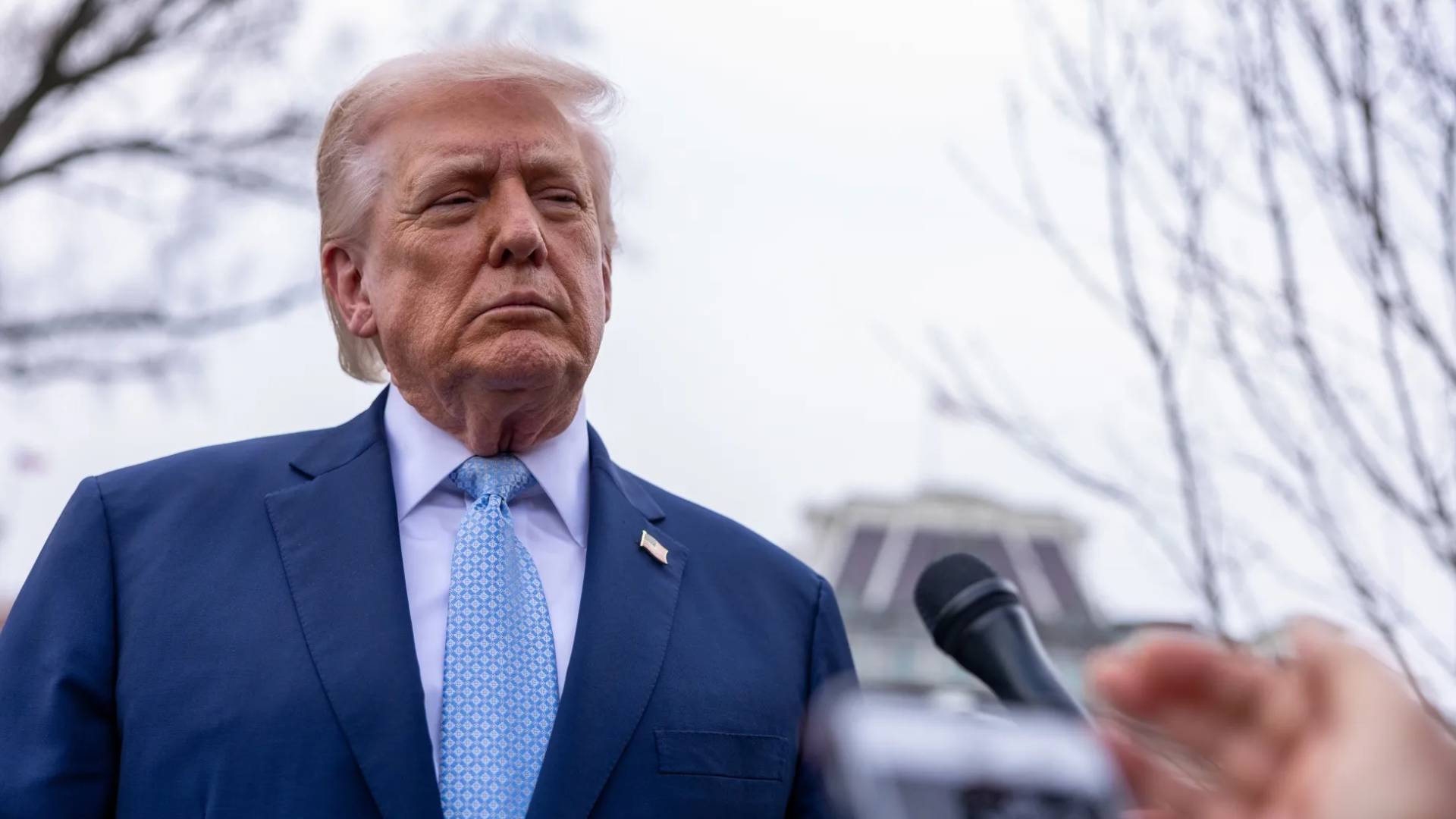 Image 1 from gallery