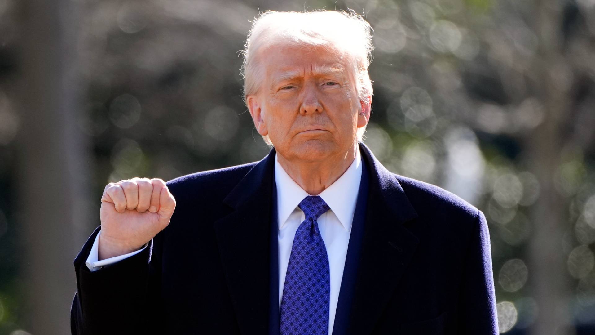 Image 1 from gallery