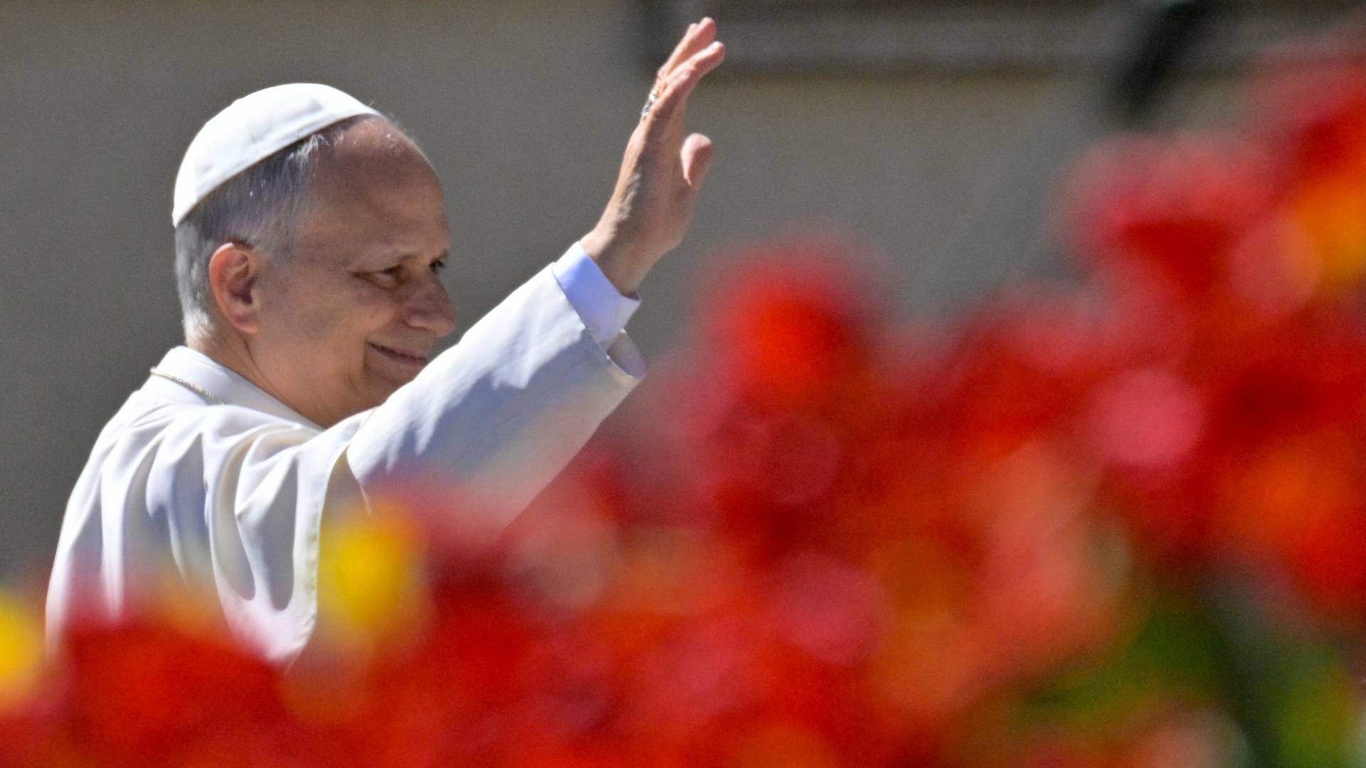 Image 1 from gallery