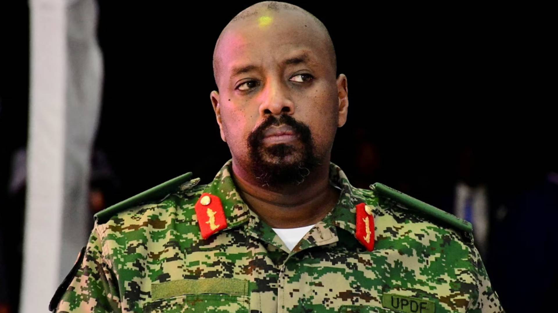 Image 1 from gallery