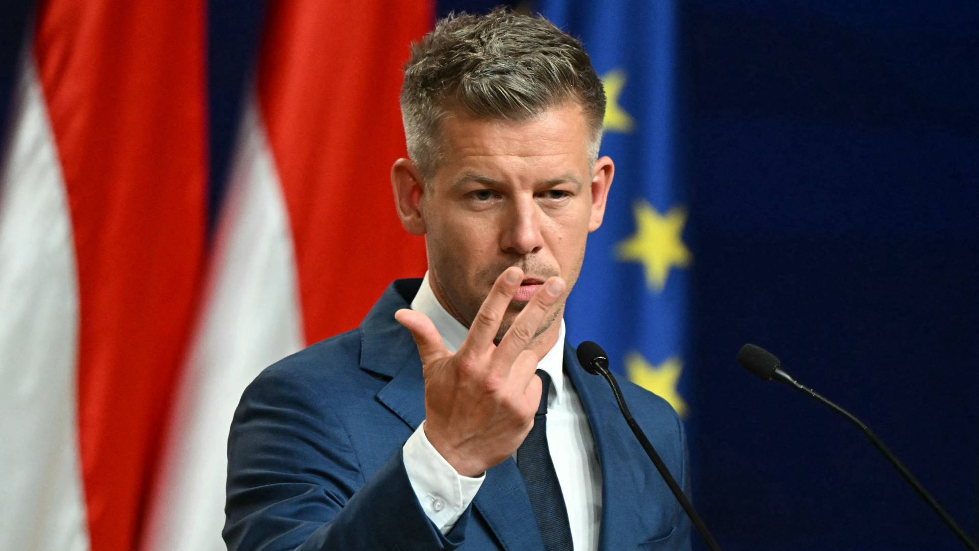 Image 1 from gallery