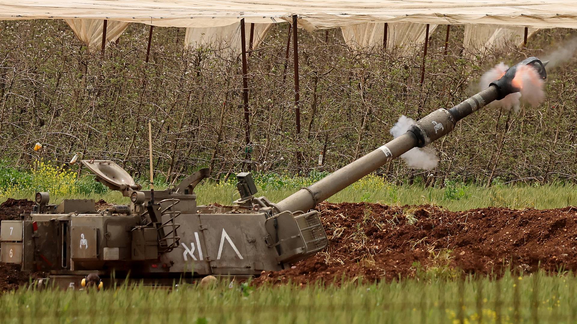 Image 1 from gallery