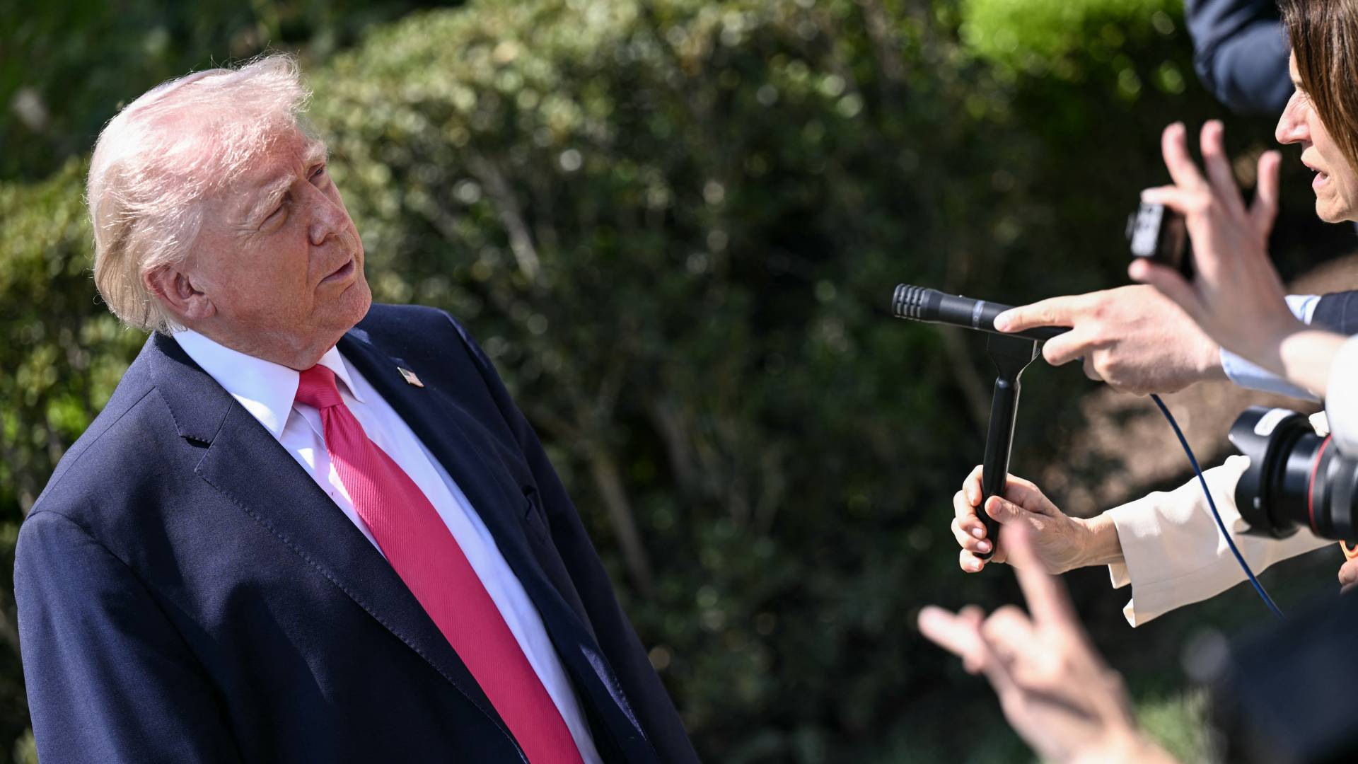 Image 1 from gallery