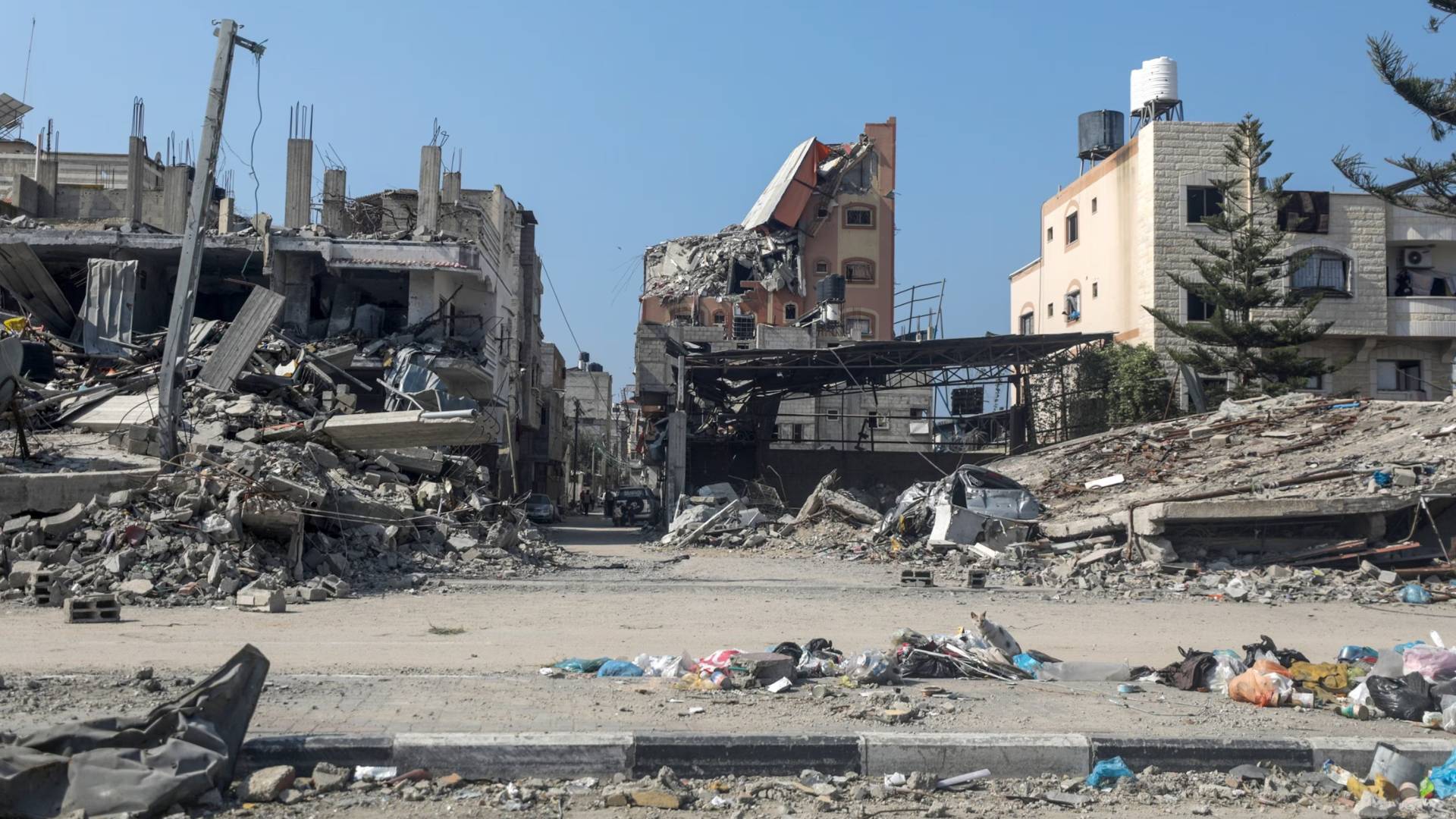 Image 1 from gallery