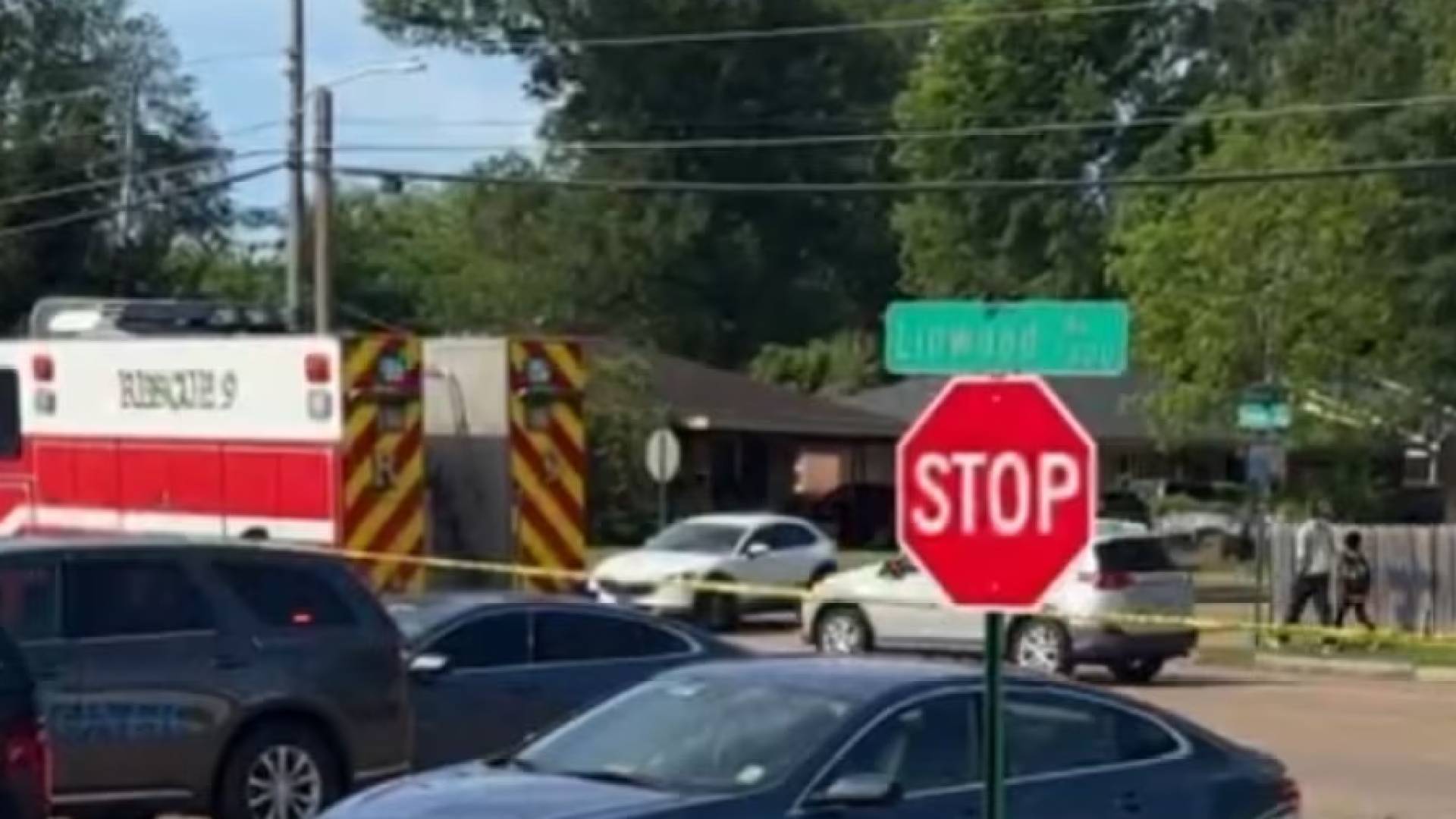 Image 1 from gallery