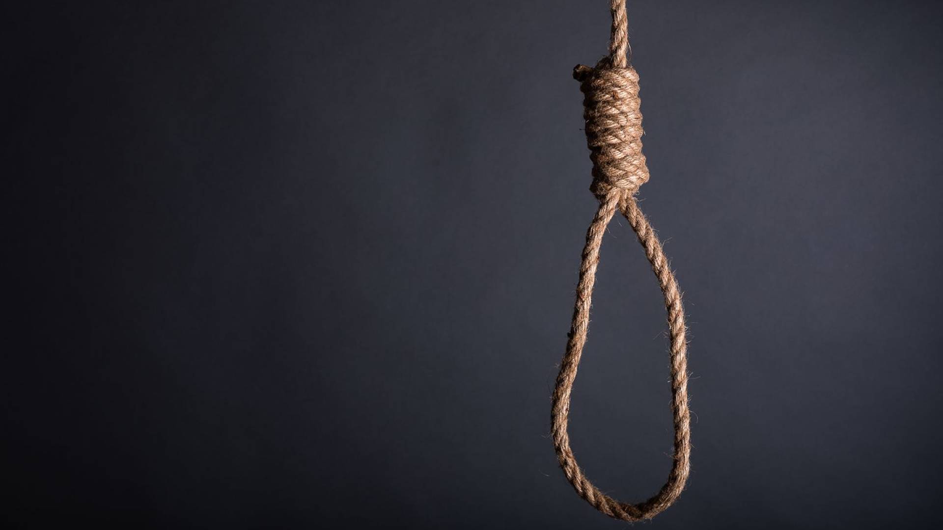 Image 1 from gallery