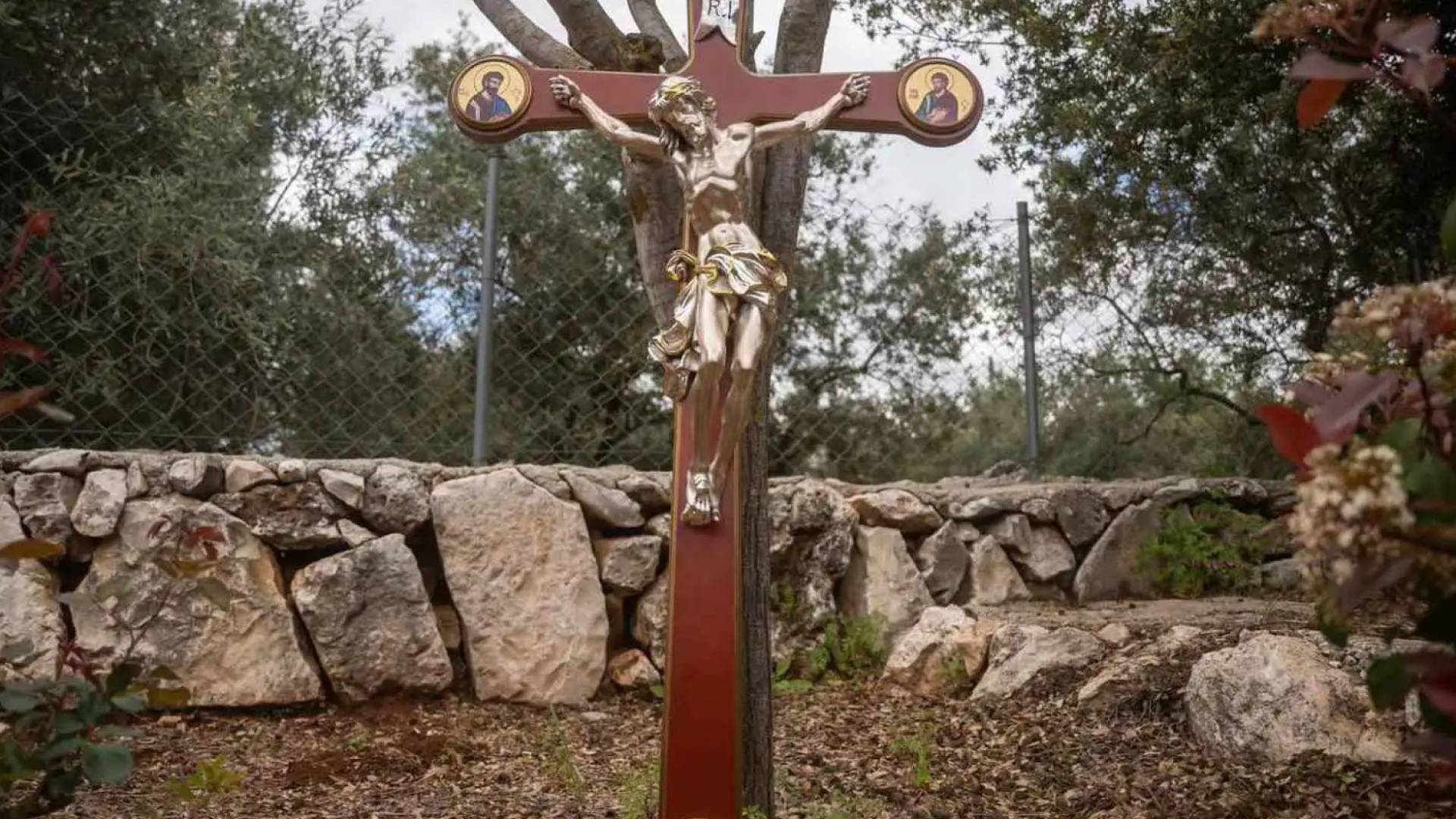 Image 1 from gallery