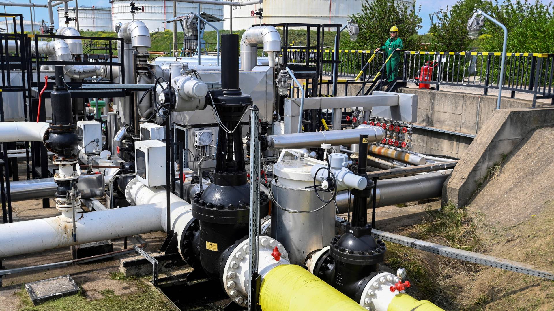 Image 1 from gallery