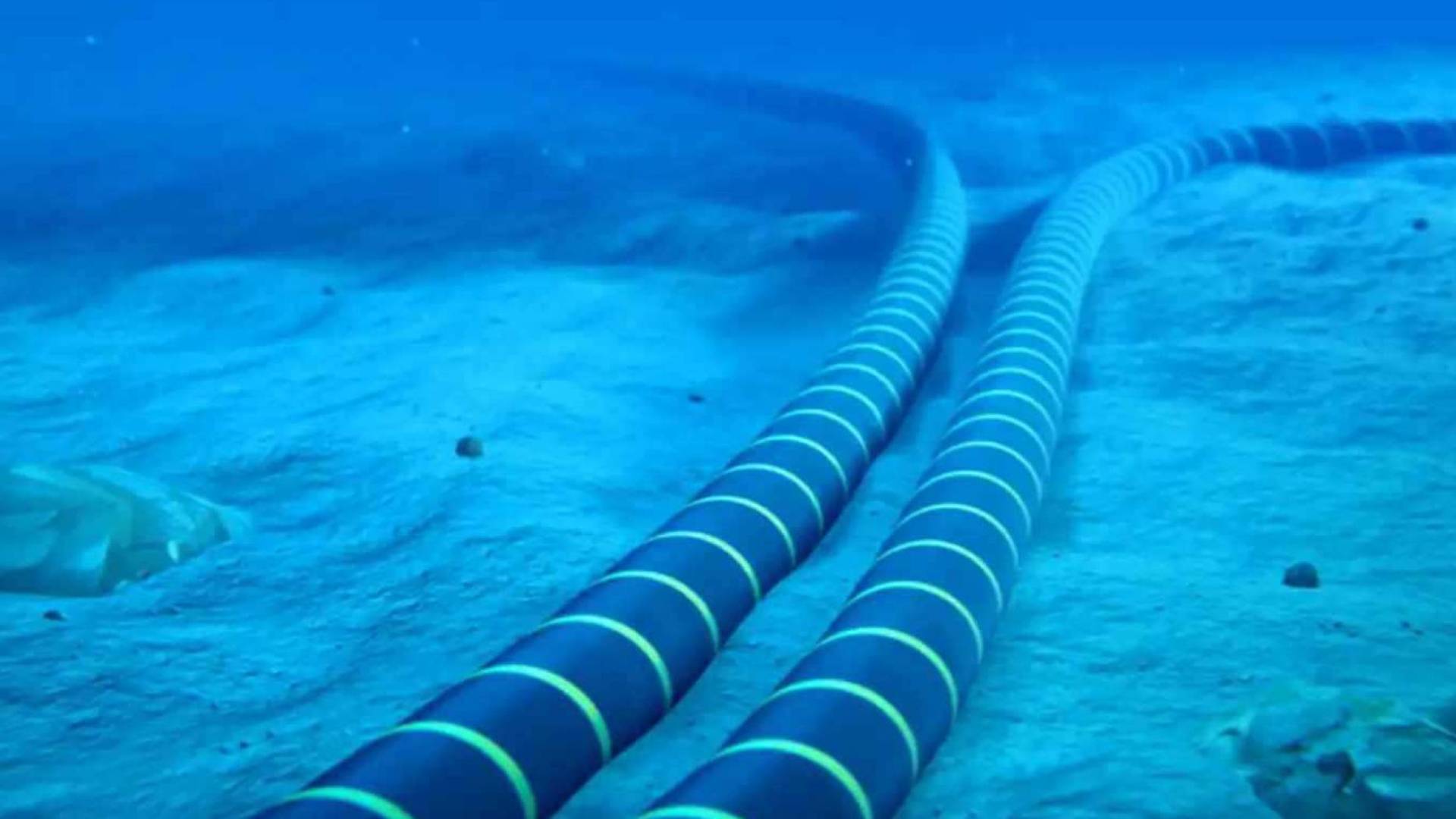 Image 1 from gallery