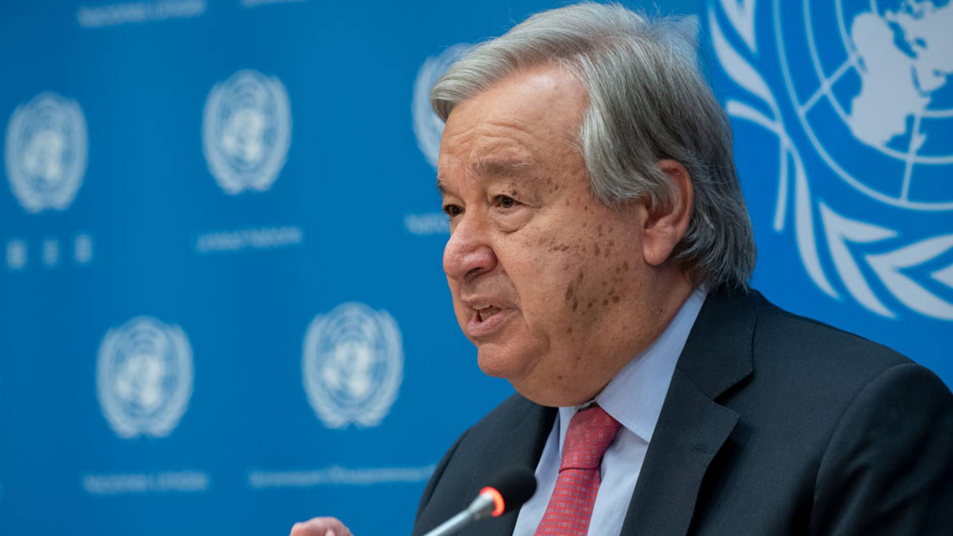 Image 1 from gallery