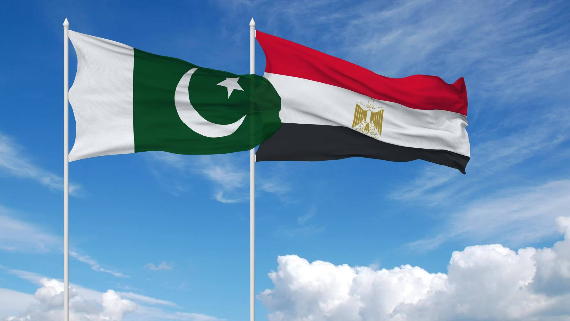 Image 1 from gallery