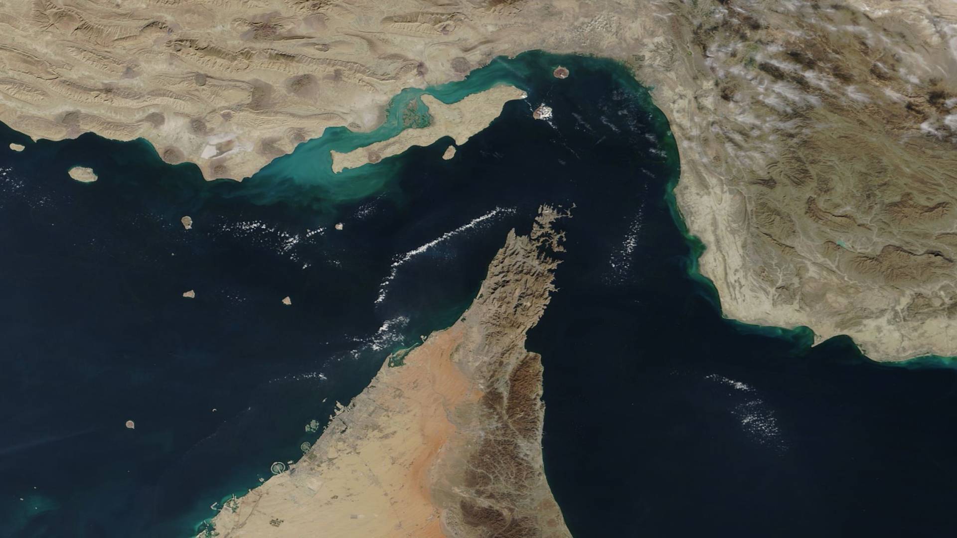 Image 1 from gallery