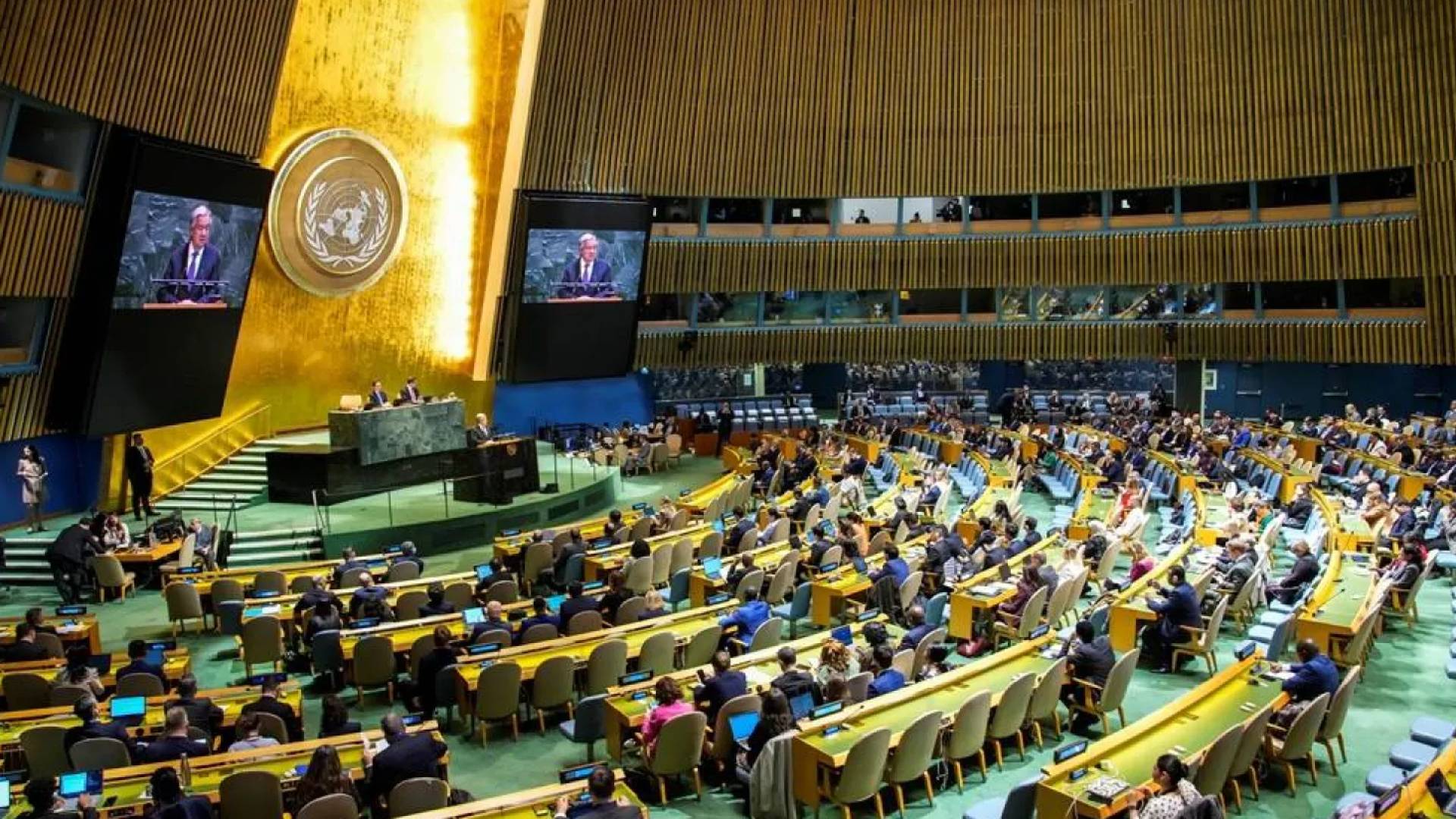 Image 1 from gallery