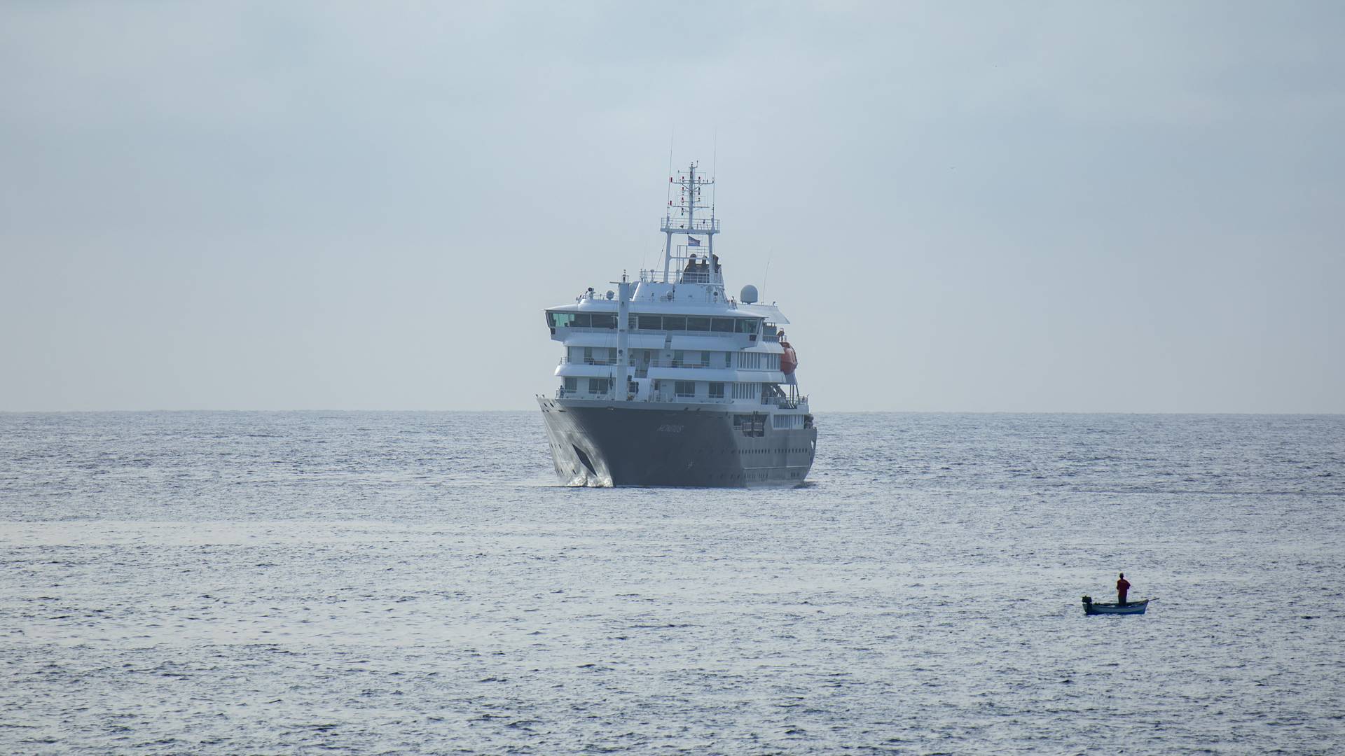 Image 1 from gallery