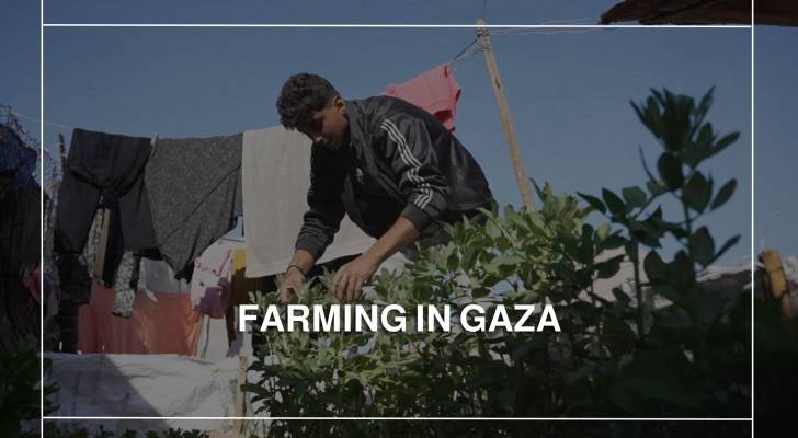 Palestinian man grows vegetable garden to combat food shortages in Khan Younis