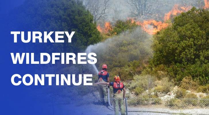 High winds fuel wildfires near Turkish resort of Izmir