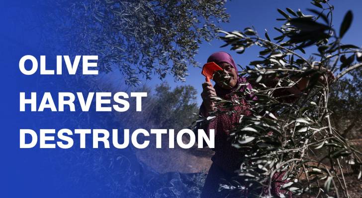 Armed ‘Israeli’ settlers attack Palestinians during olive harvest