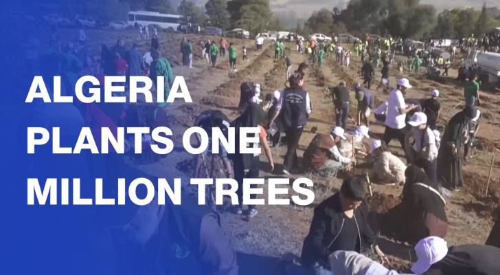 Algeria to plant one million trees in 24 hours