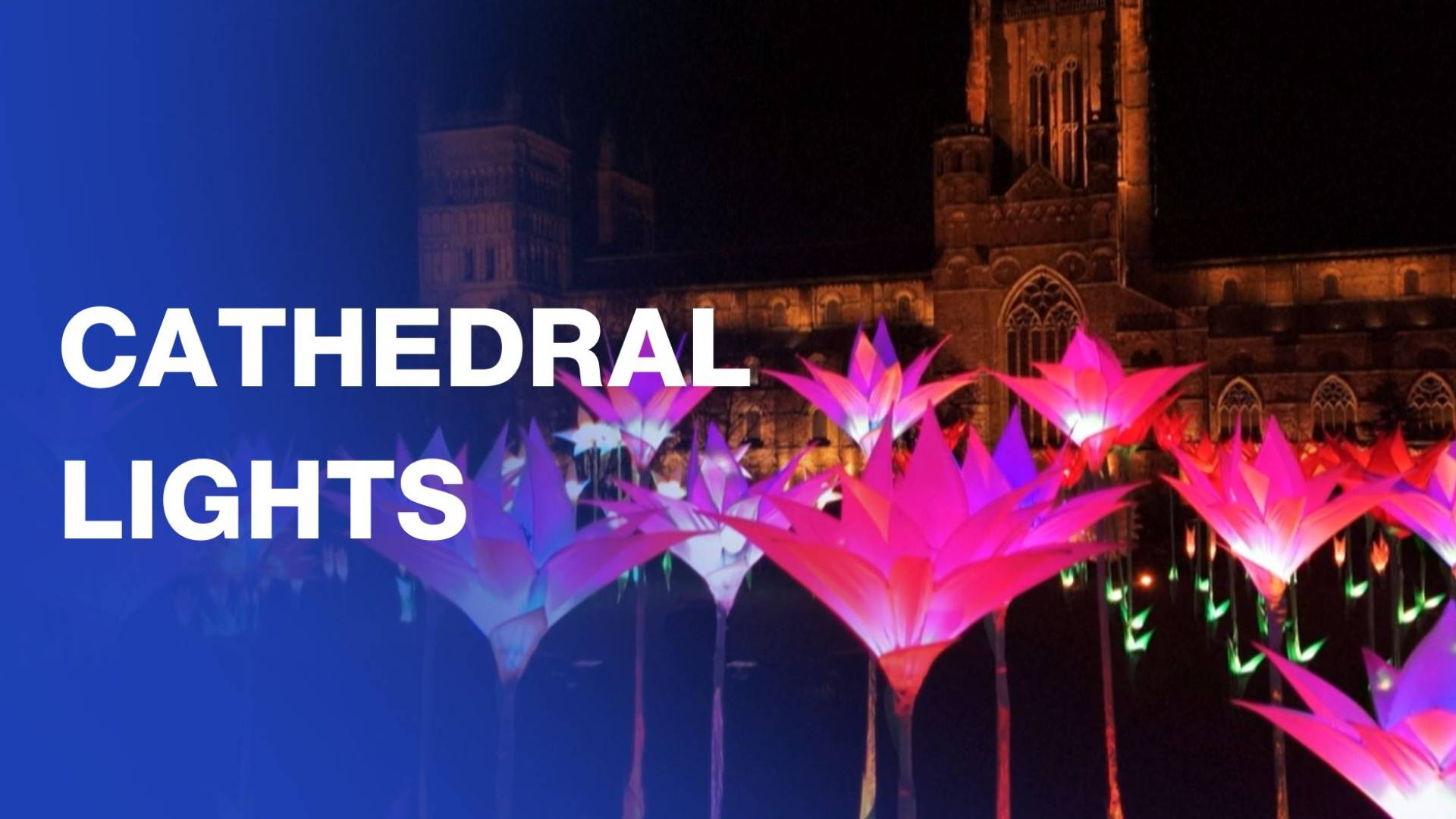 Light installations take over Durham's historic cathedral and city