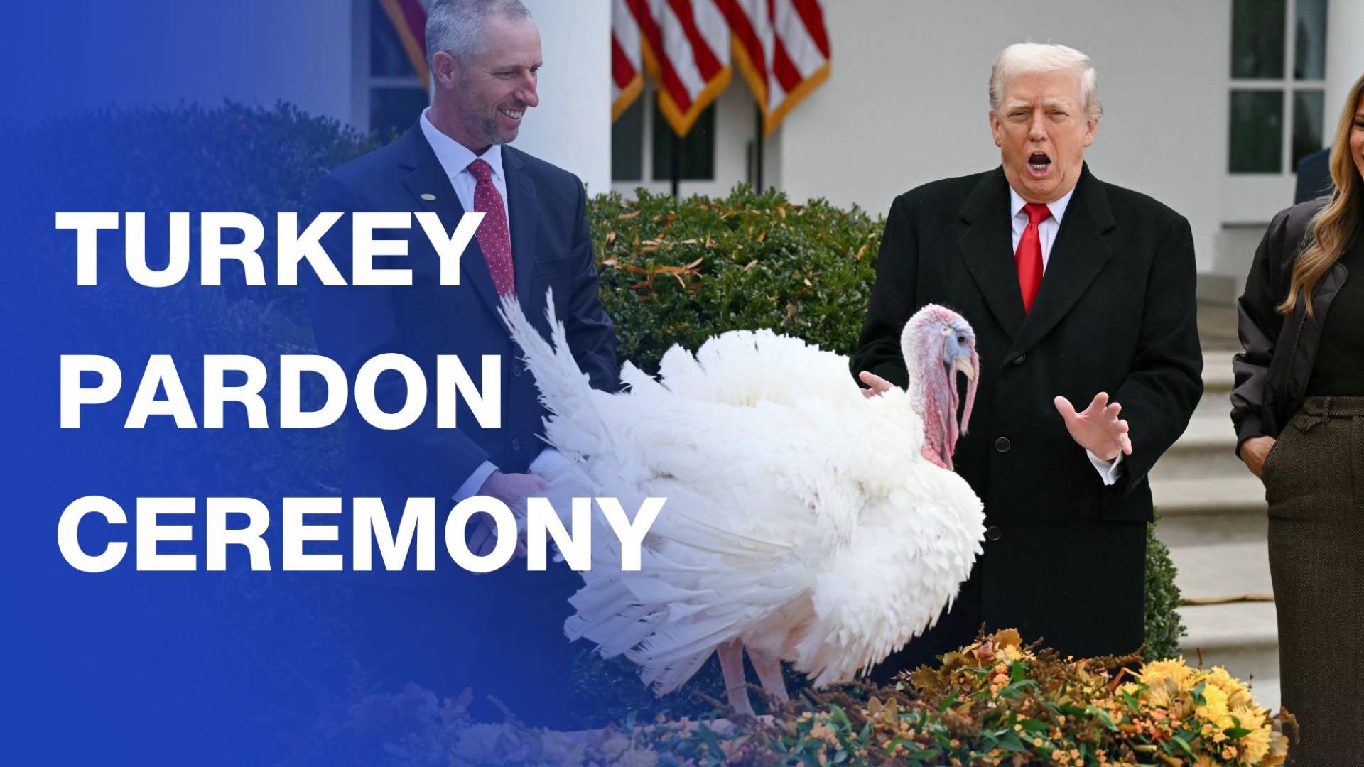 Trump turns annual White House Thanksgiving turkey pardon ceremony into political roast