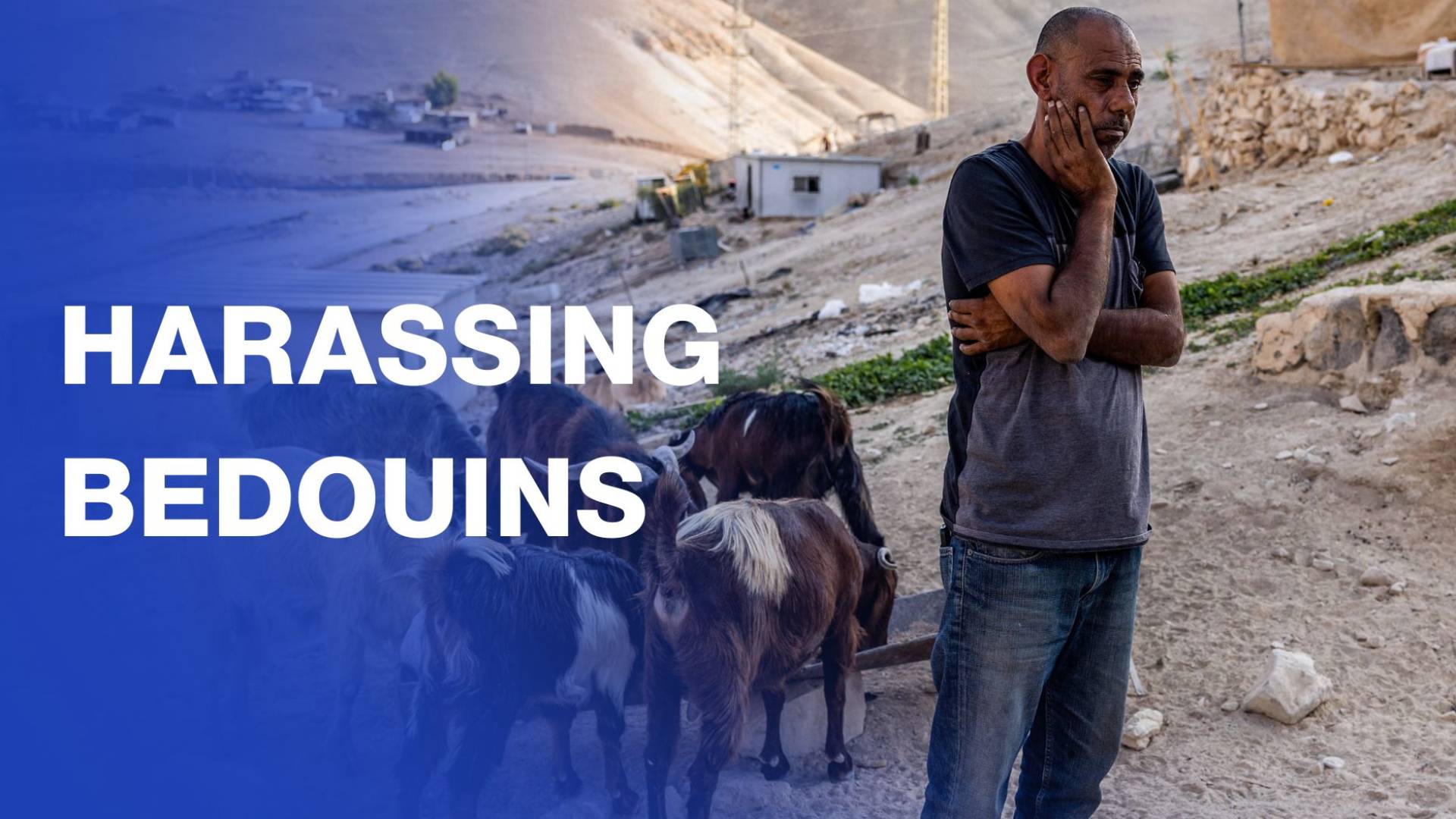 'Israeli’ settlers force out Bedouins from West Bank community