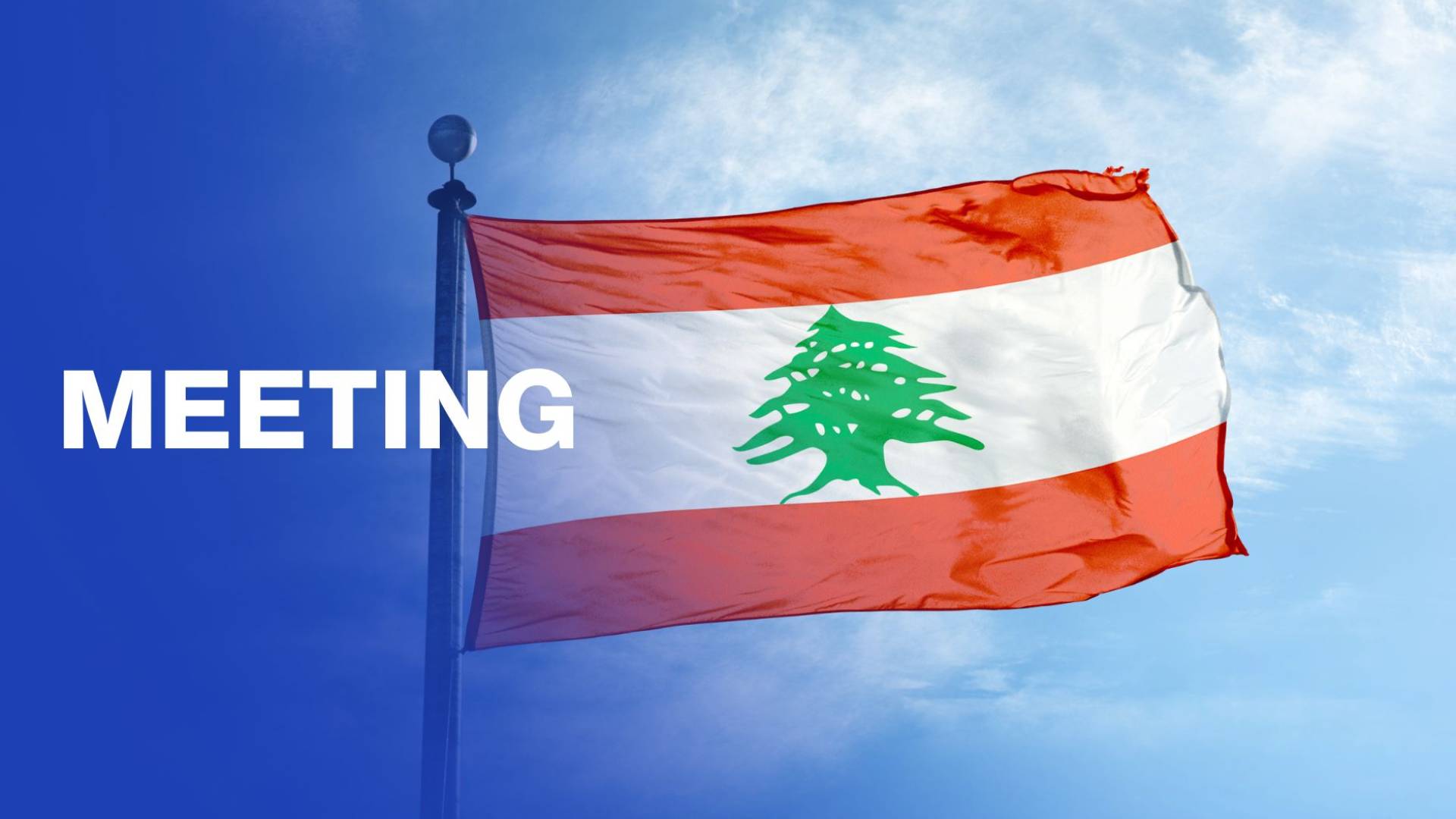 UN Security Council delegation meets Lebanese officials