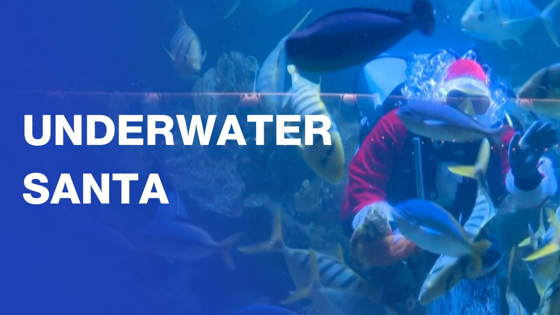 Underwater Santa delights crowds in Kuala Lumpur