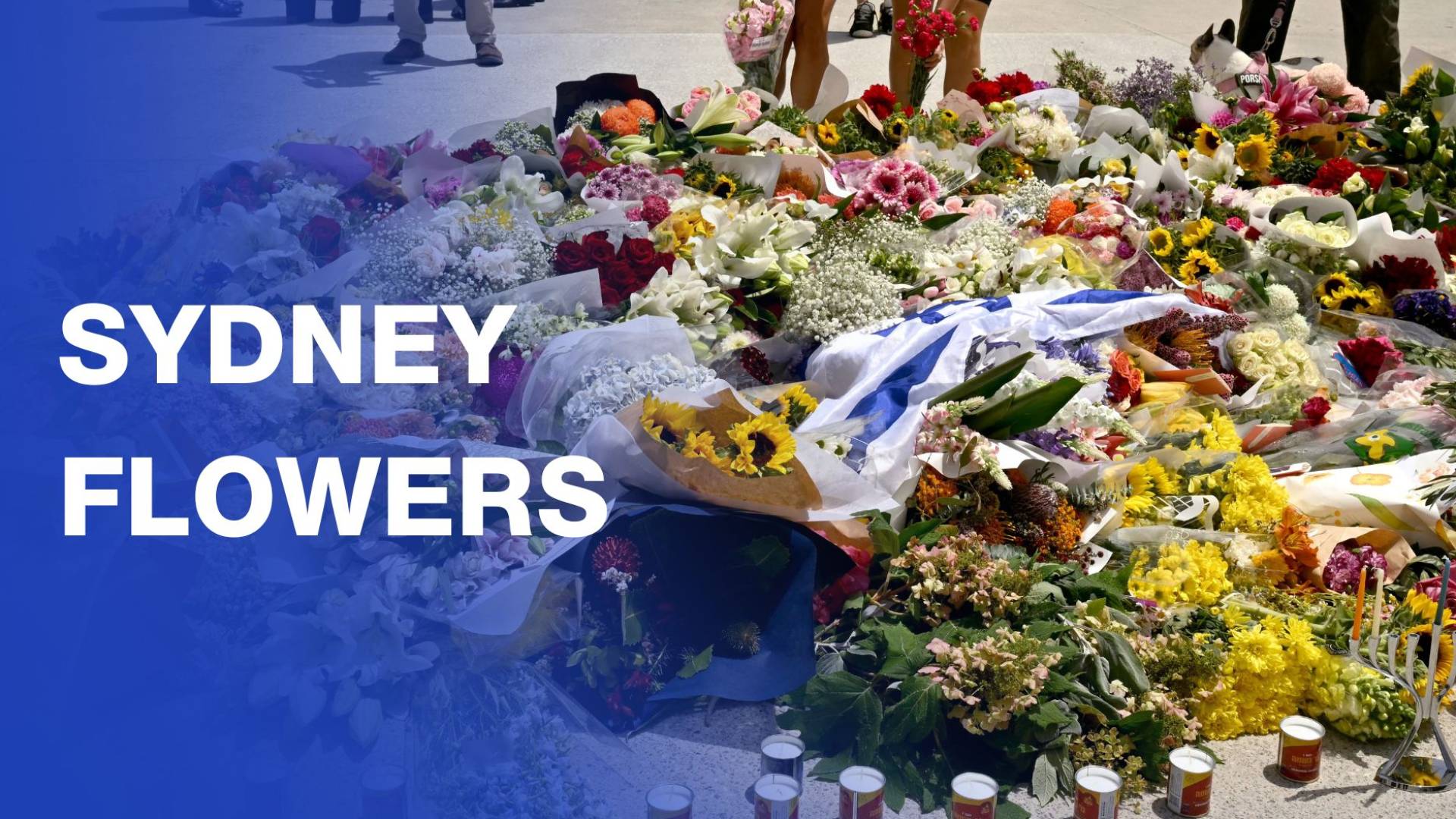 Australians mourn 16 killed in Jewish festival attack